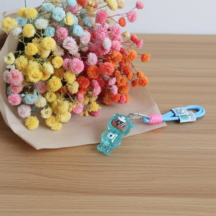 Acrylic Teddy Bag Charm