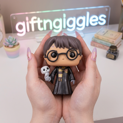 Harry Potter Figurine