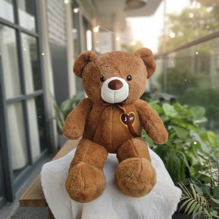 Big Teddy Plushy Toy with Blanket - Soft & Furry