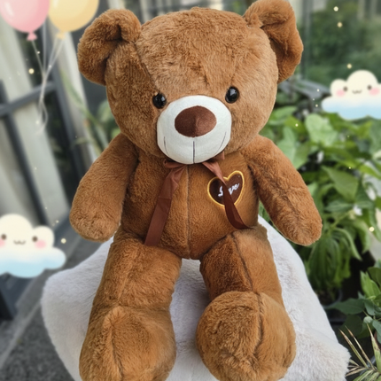 Big Teddy Plushy Toy with Blanket - Soft & Furry