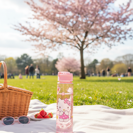 Hello Kitty Water Bottle   – Cute Pink Cartoon Bottle for Travel (750ml)